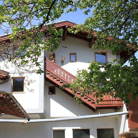 Ferienhaus Islitzer Hollersbach im Pinzgau Esterno foto